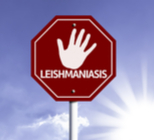 טיפול חדש לחולי לישמניאזיס-תמונה